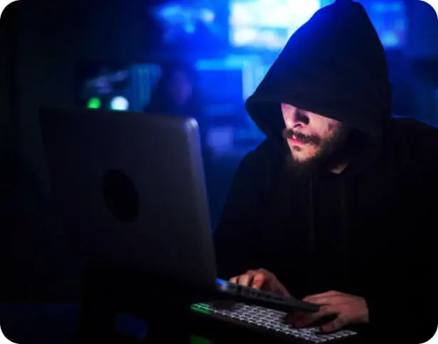 Custom Software Development